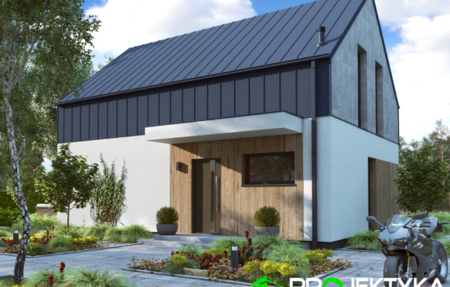 dom modułowy TAGA - projekt firmy Projektyka KA 254 - T