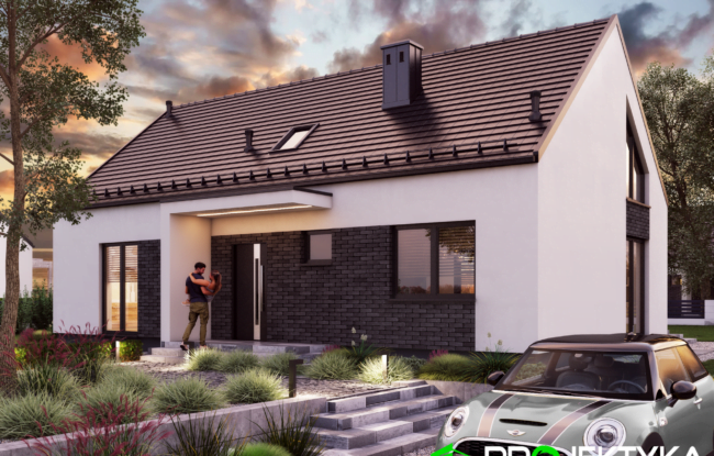 dom modułowy TAGA - projekt firmy Projektyka KA 260-SZ